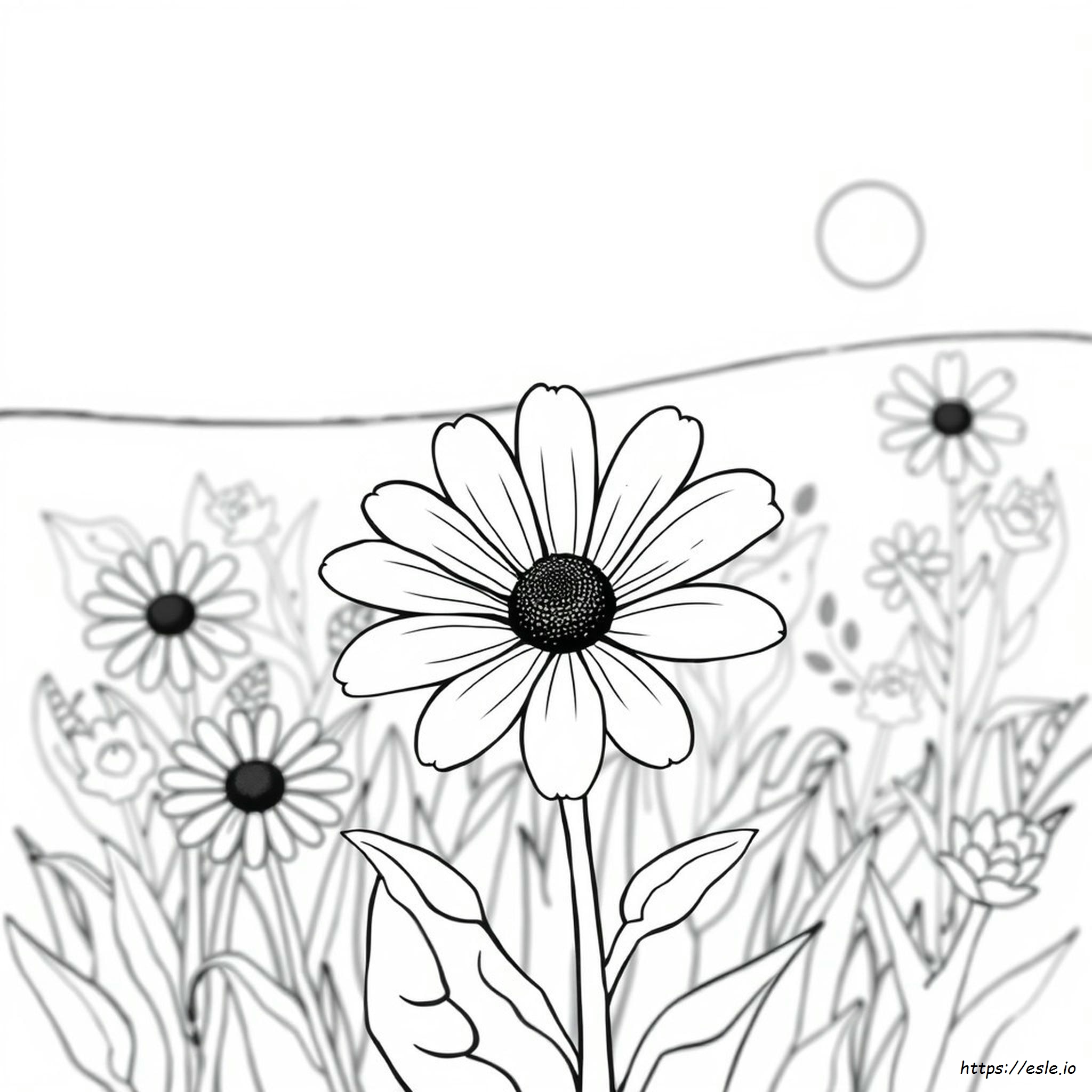 Black Eyed Susan Coloring Page