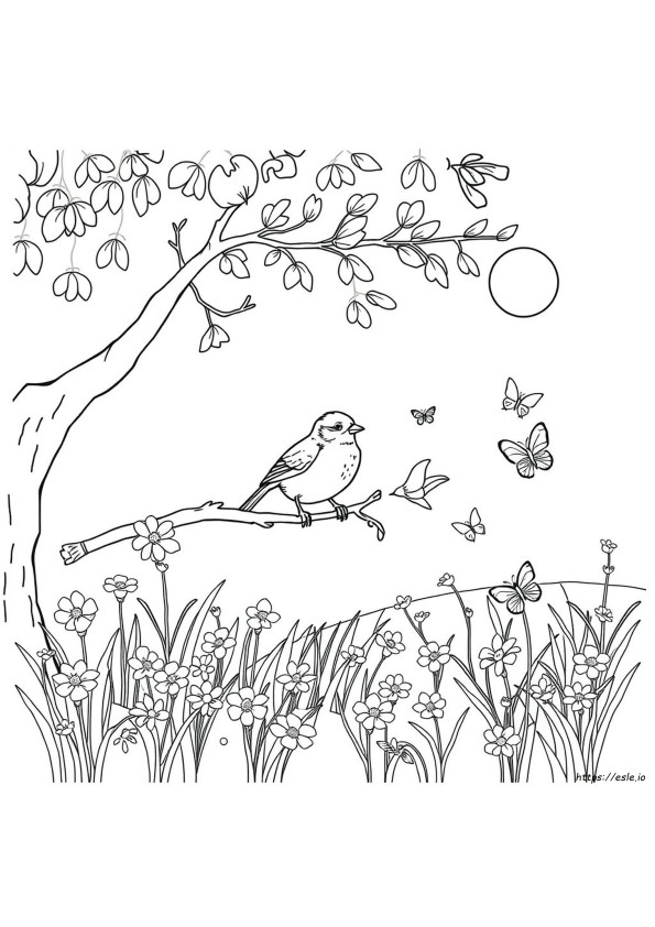 Sparrow Colouring Pages