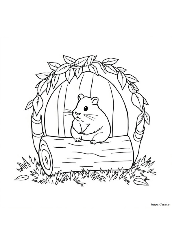 Coloriage Hamster