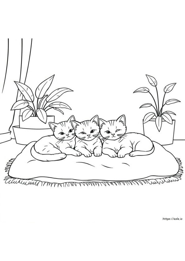 ぬりえ 猫と子猫