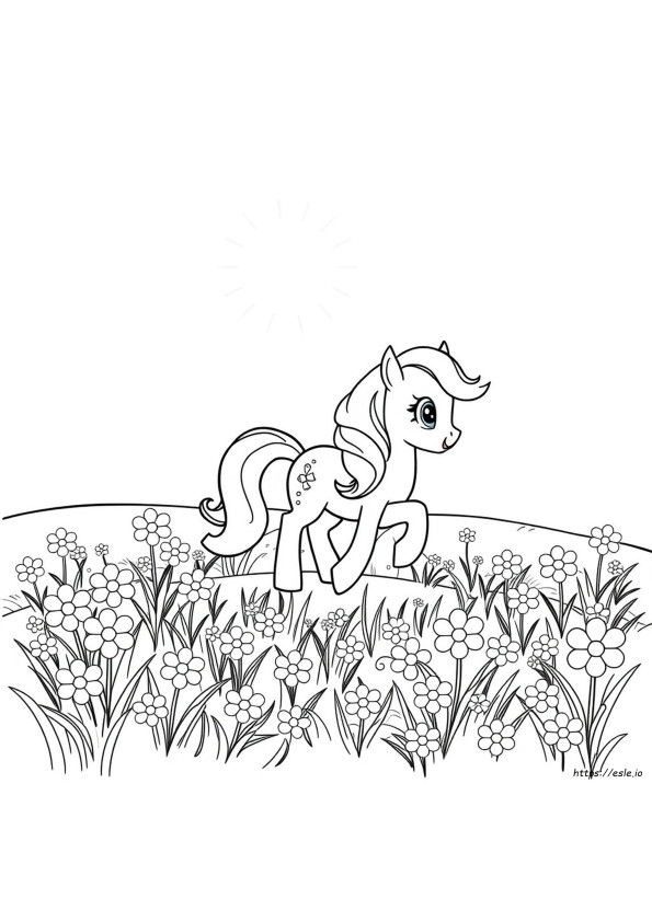 My Little Pony Coloring Book