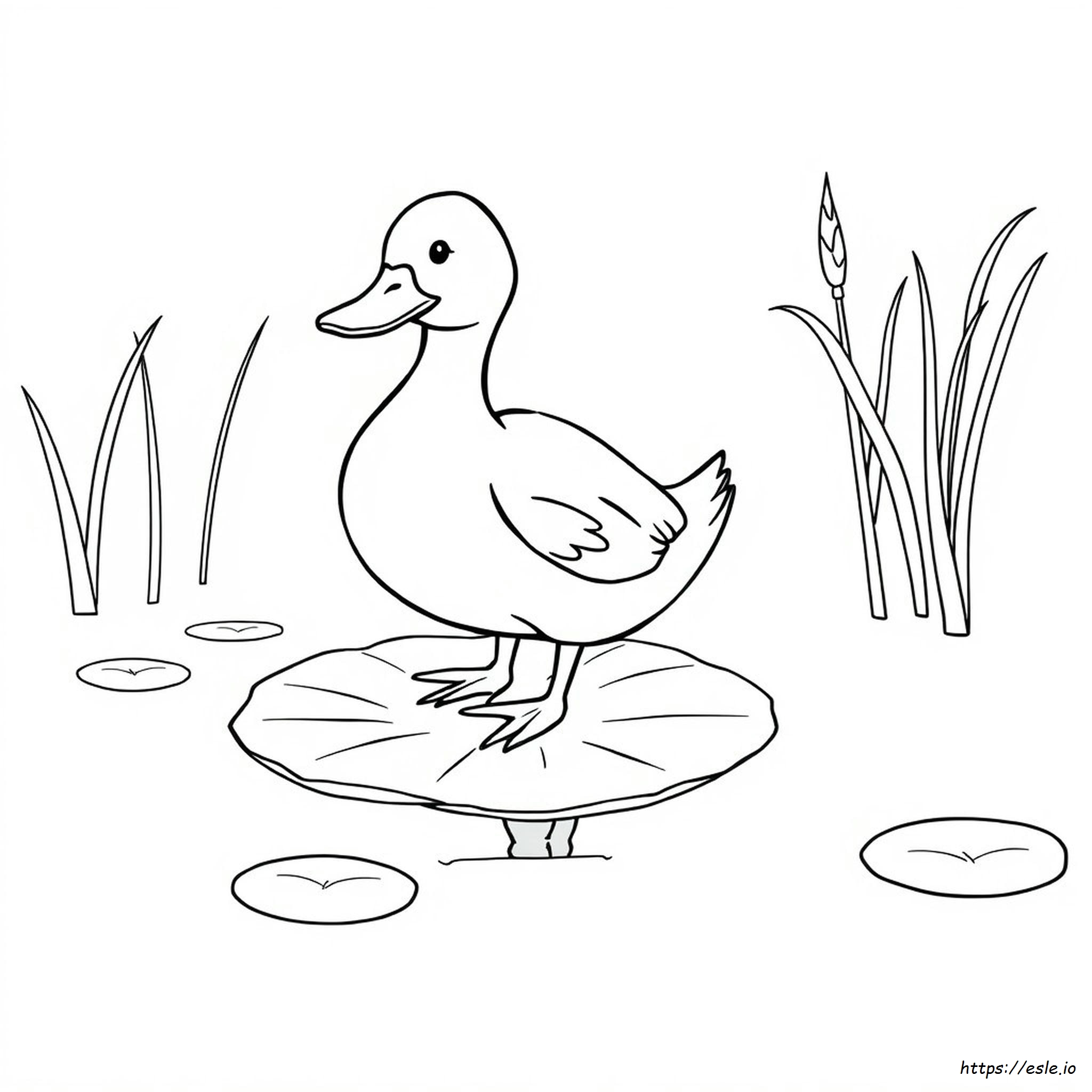 Kostenlose Enten Ausmalbilder