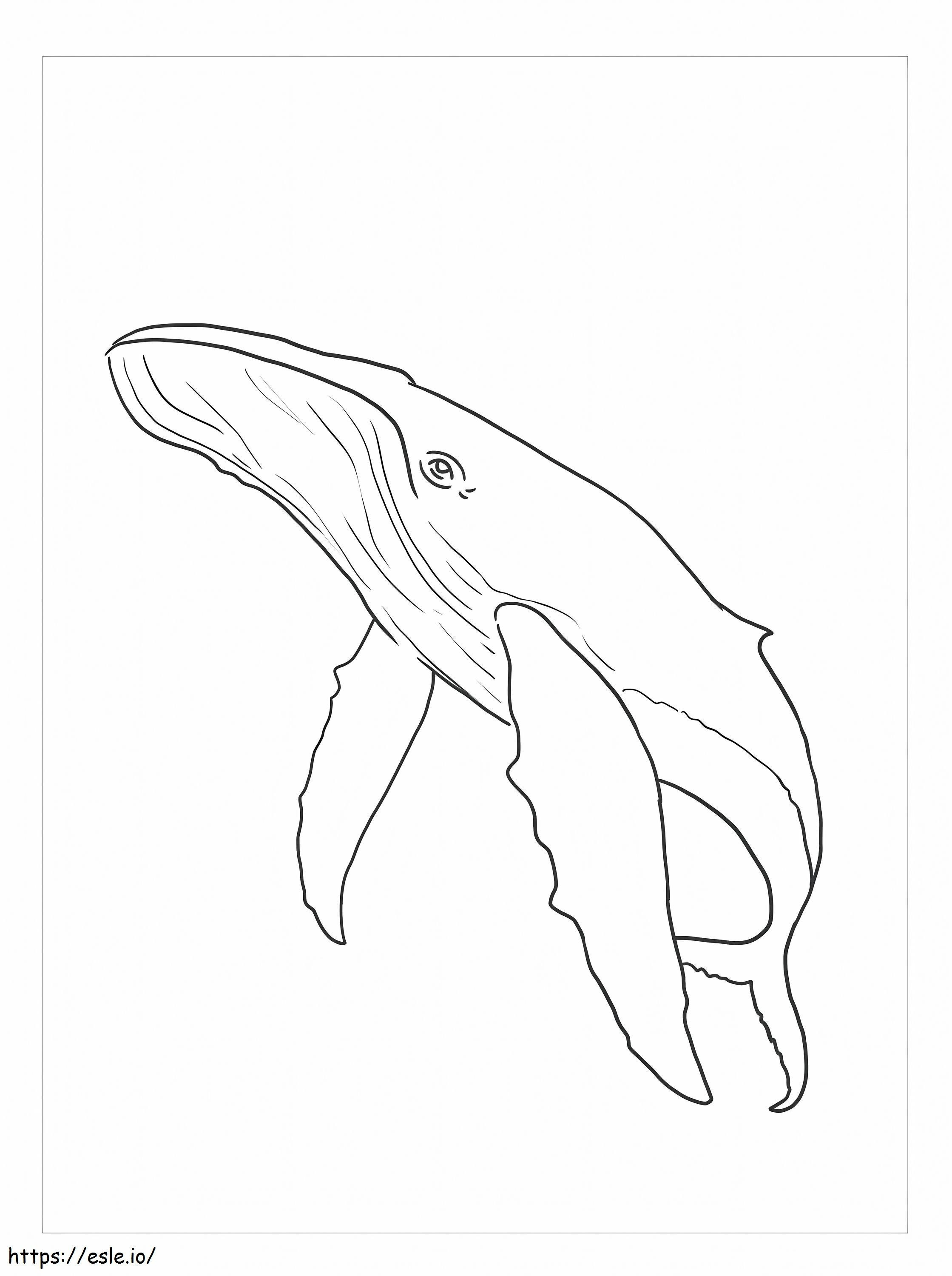 フリークジラ ぬりえ - 塗り絵