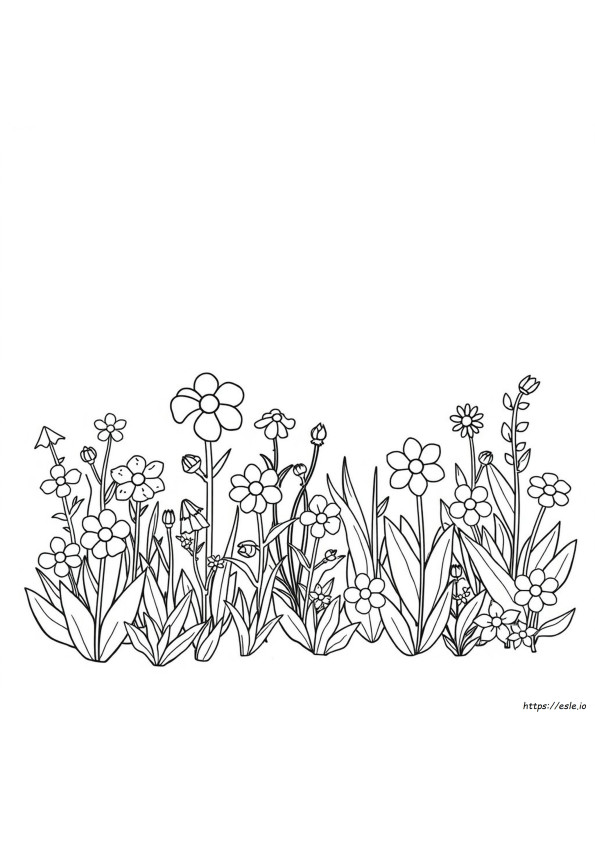 Garden Of Banban Pagine Da Colorare E Stampare