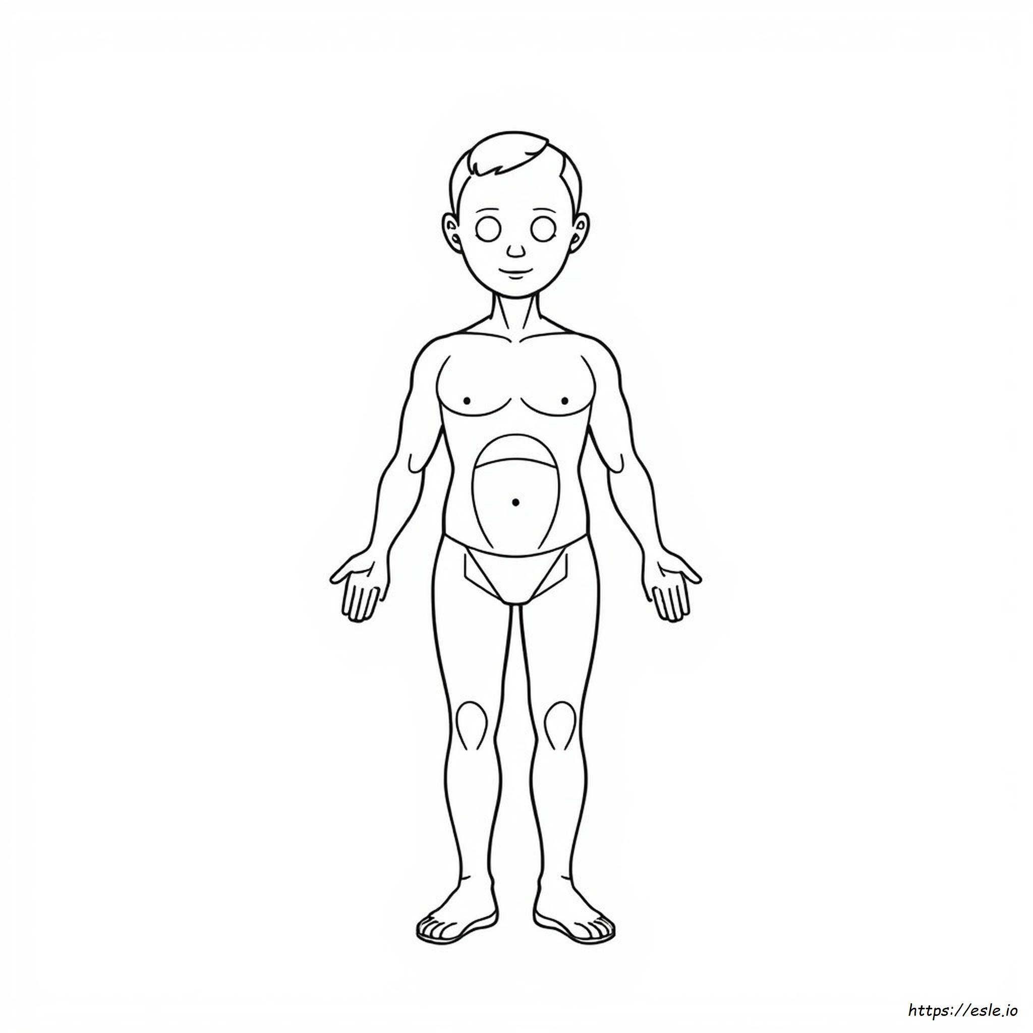 Parts Of The Body Colouring Pages