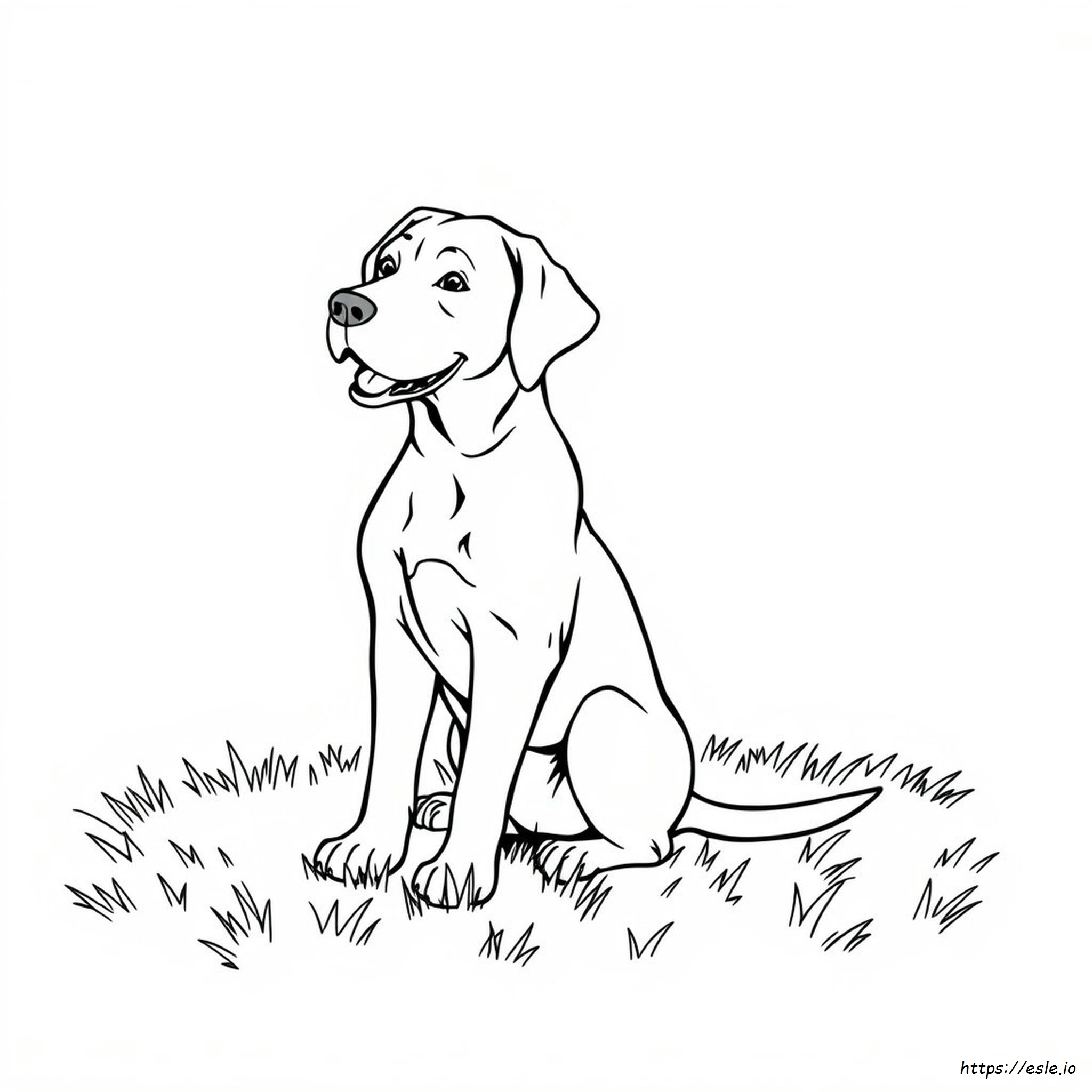 Chocolade Labrador Kleurplaten kleurplaat