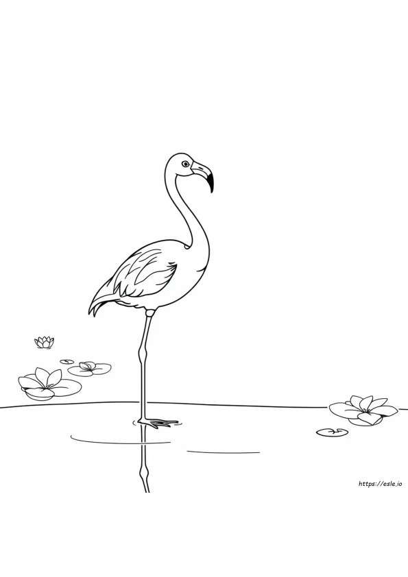 Flamingo Para Colorir