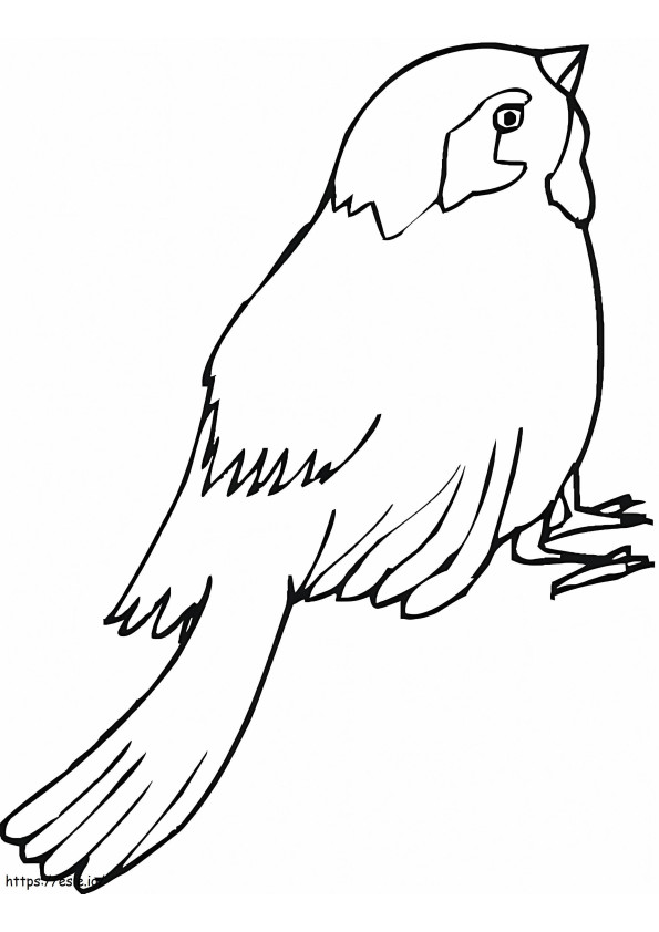 Free Sparrow coloring page