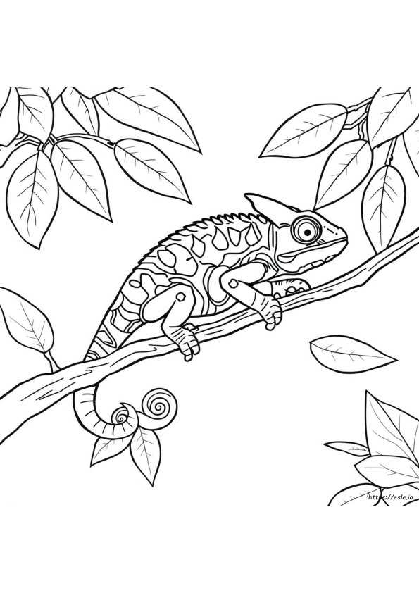 Camaleão Realista Para Colorir