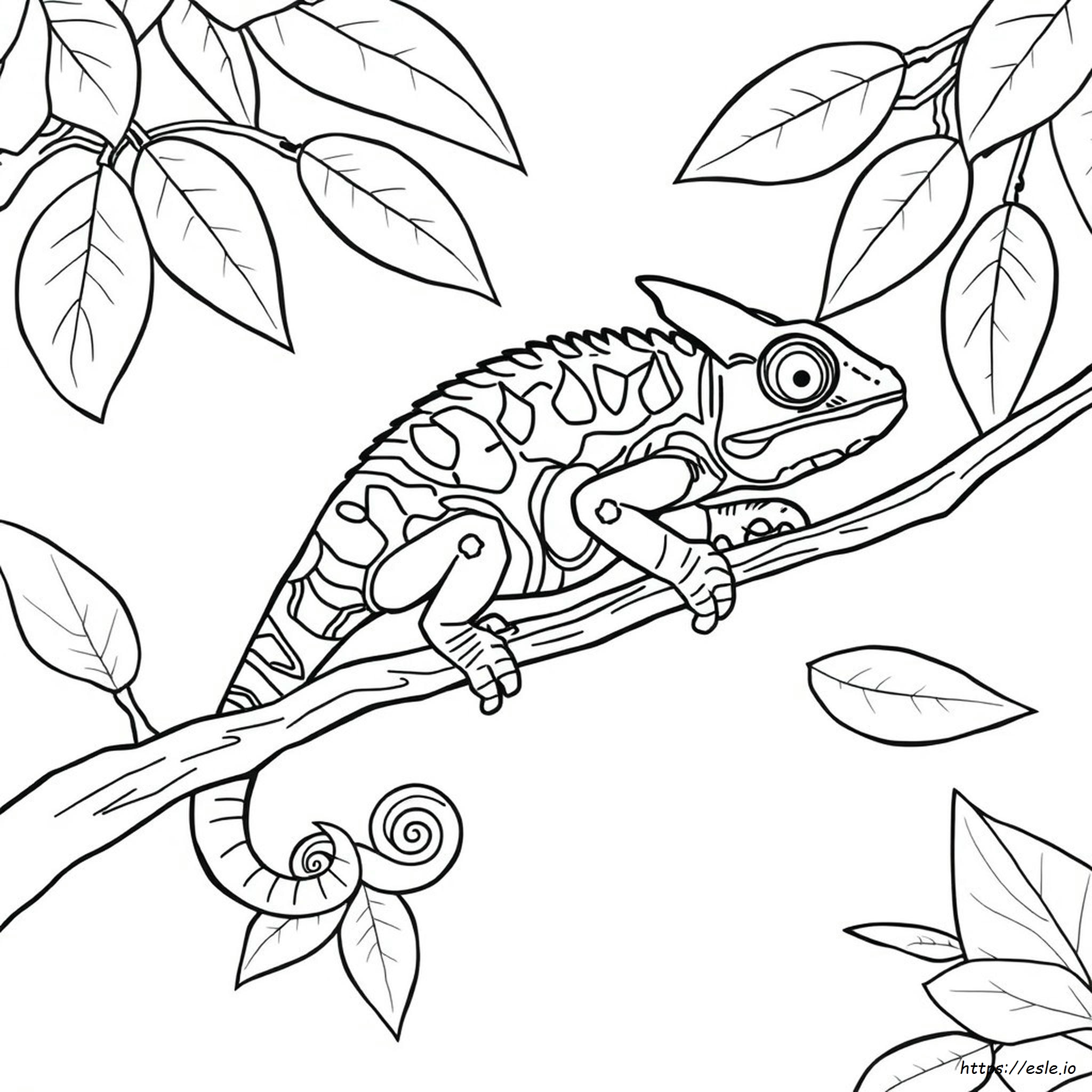 Realistic Chameleon Coloring Page