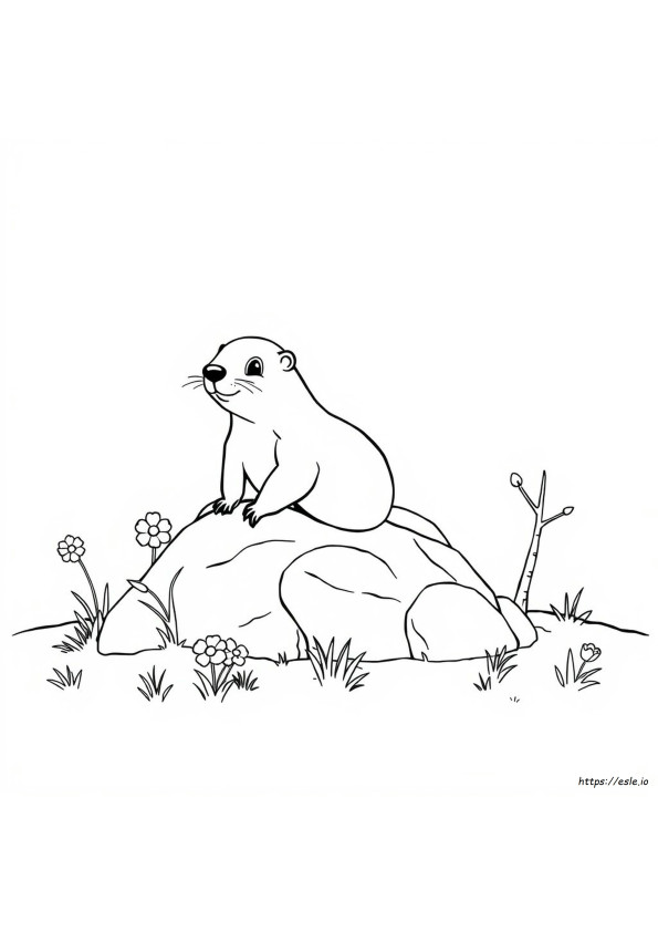 Coloring Picture Of A Groundhog