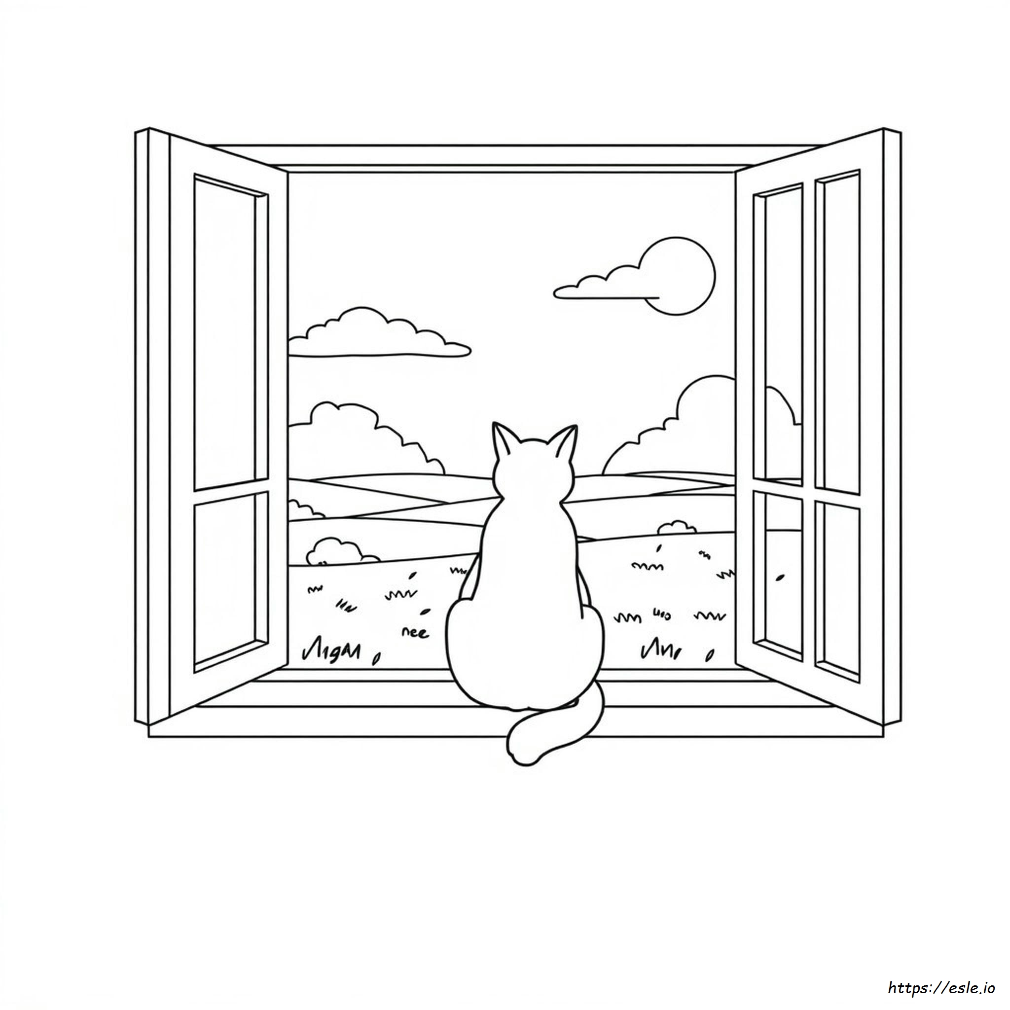 Real Cat Coloring Pages