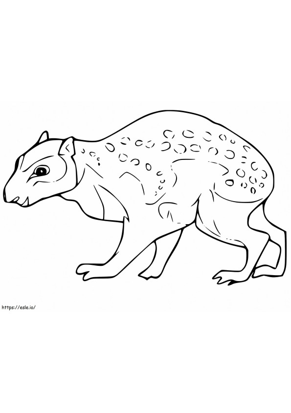 Easy Quoll coloring page