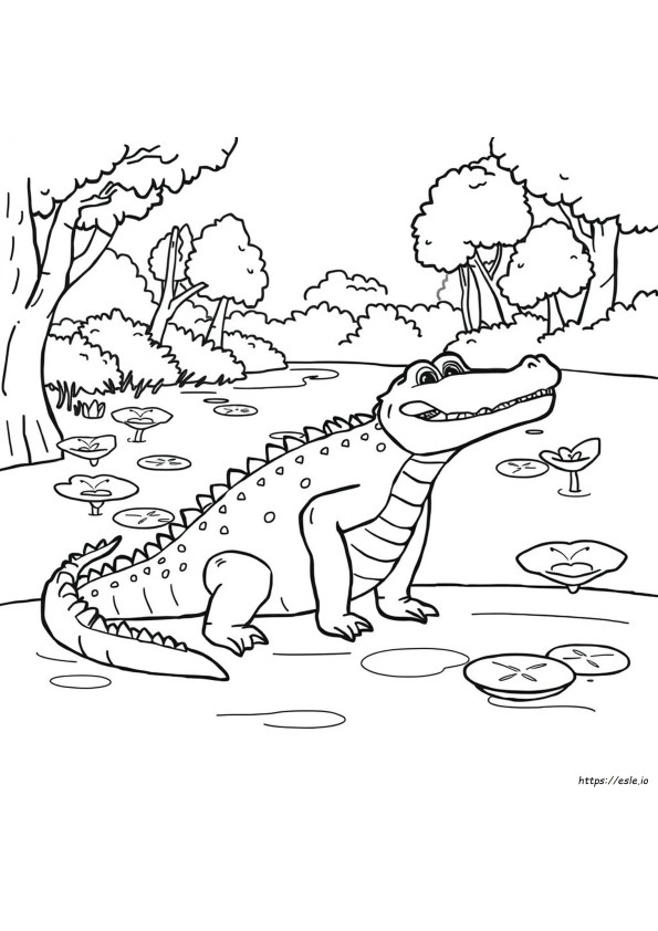 Crocodil De Colorat