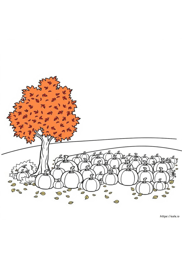 Fall Images Coloring Pages