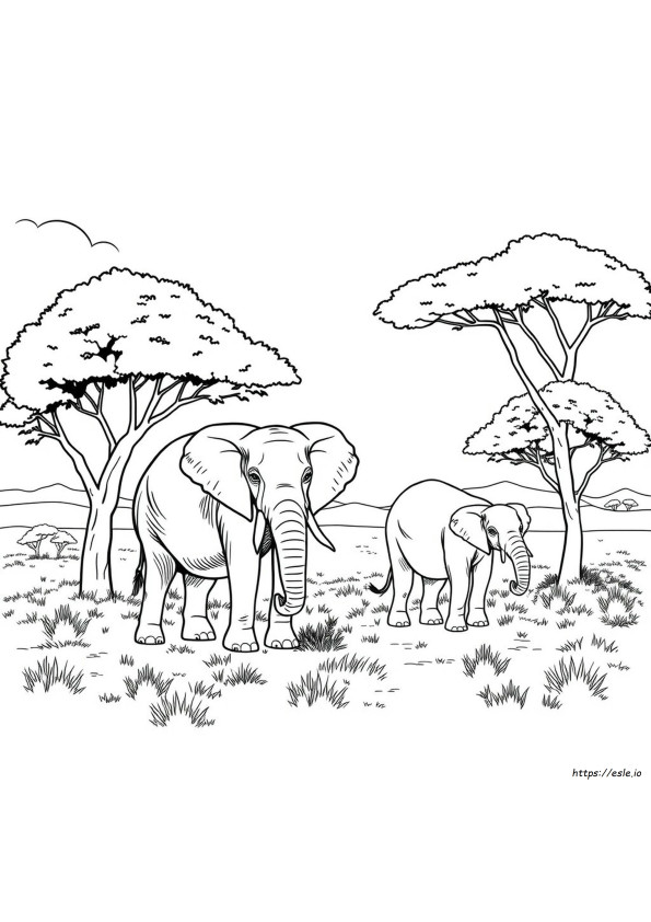 Free Elephant Coloring Pages For Adults