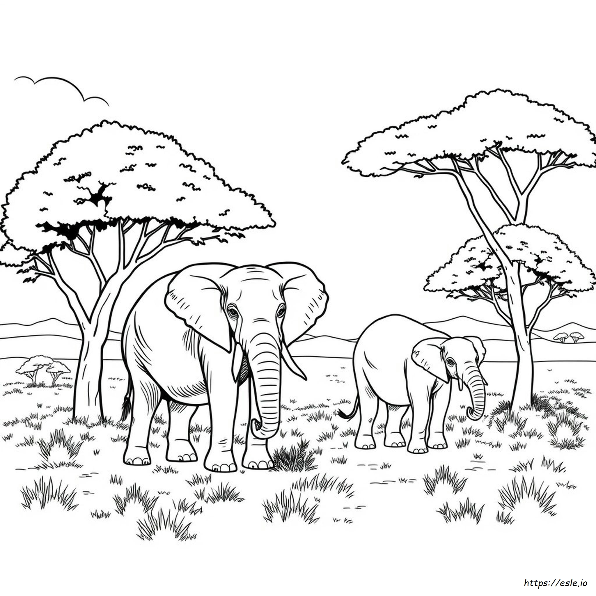 Free Elephant Coloring Pages For Adults