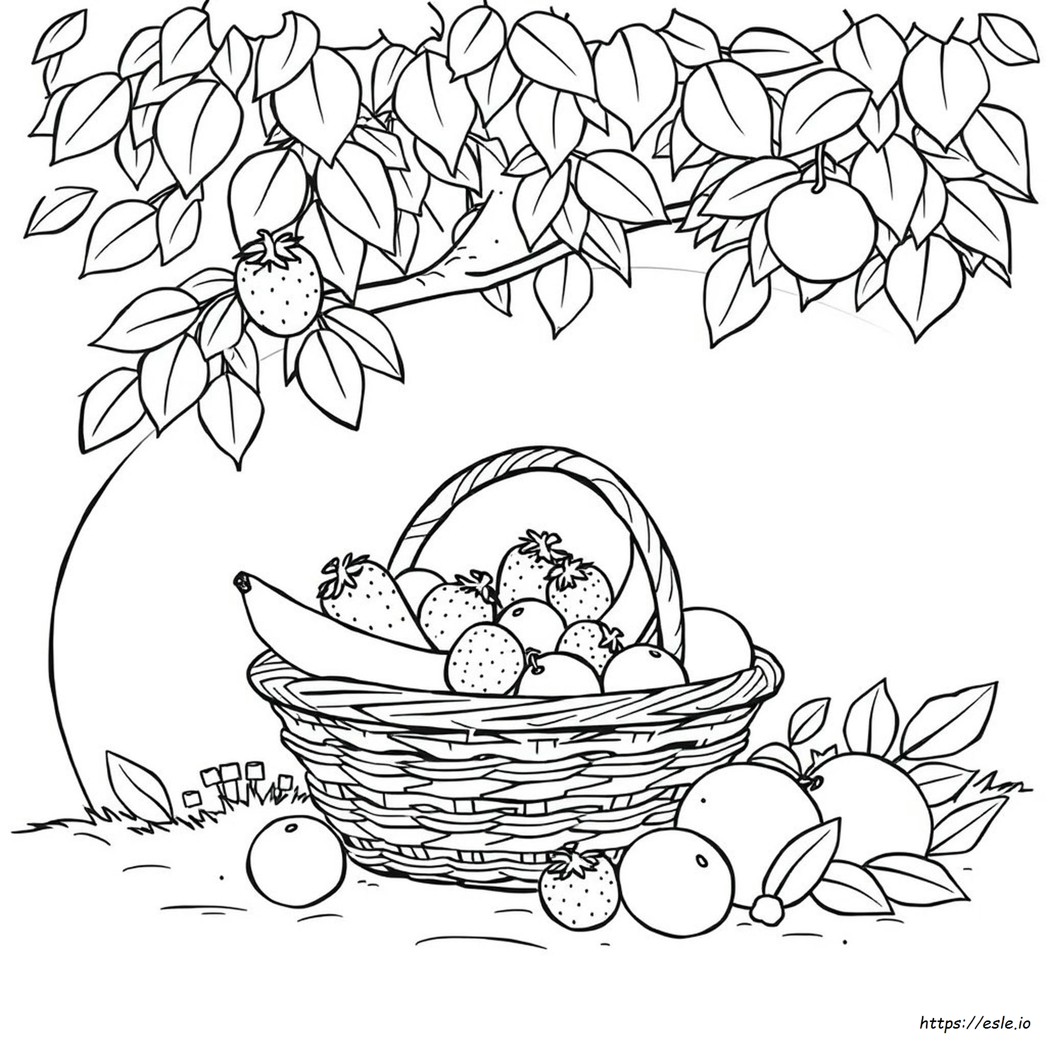 Free Printable Fruit Coloring Pages