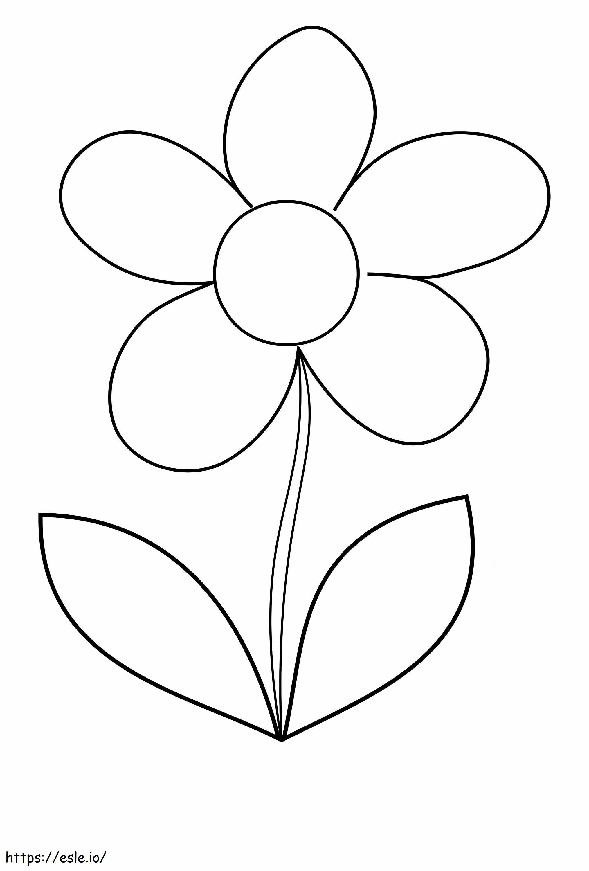 Desen flori Daisy de colorat