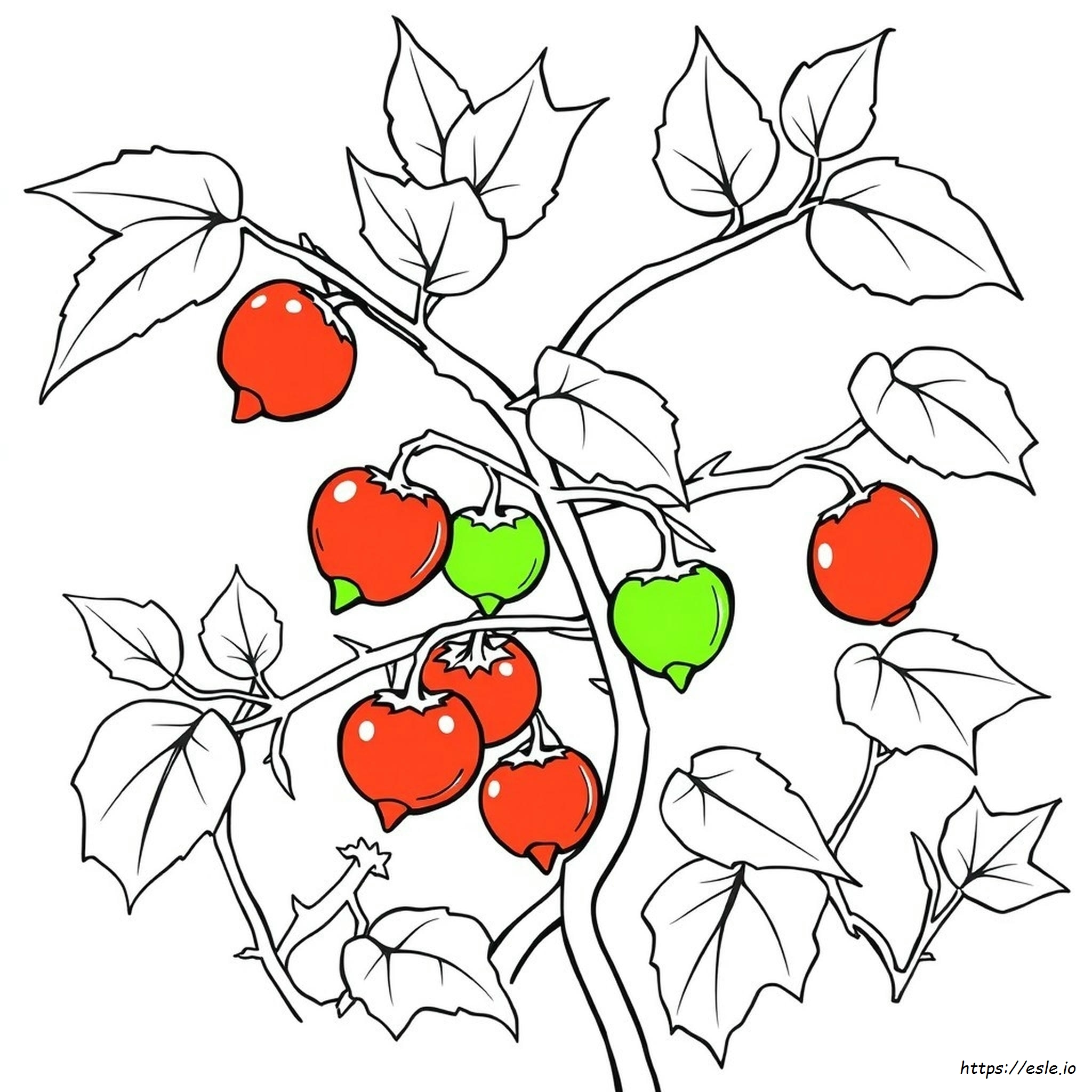 Fruta Veneno Para Colorear