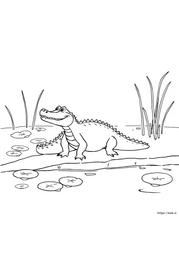 Aligator Coloring Sheet