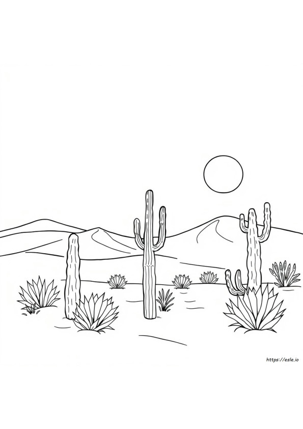 Disegni Del Deserto Da Colorare