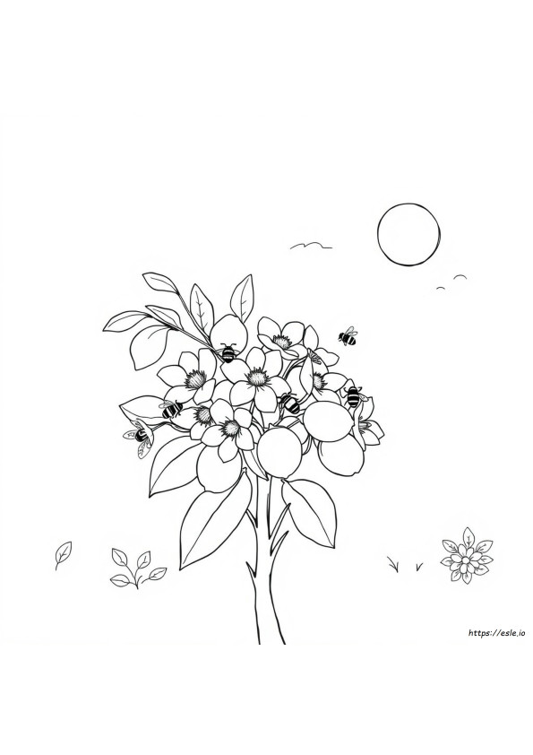 Coloriages À Imprimer Jaune