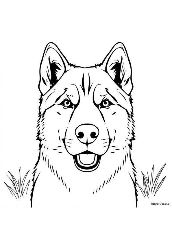 Husky Face Coloring Pages
