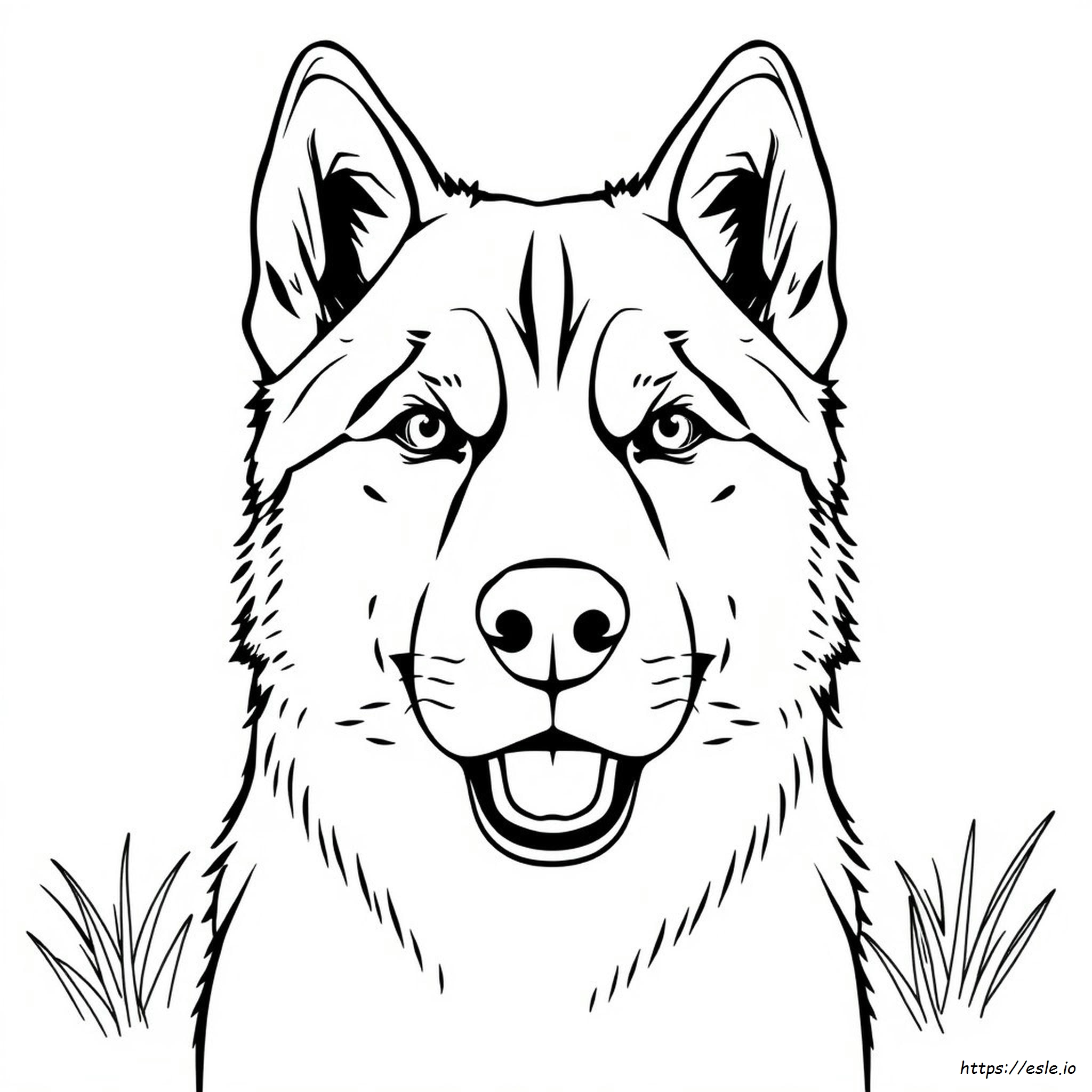 Husky Face Coloring Pages