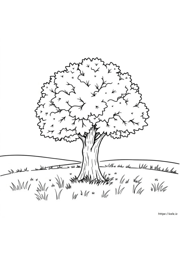 Coloriage Chêne