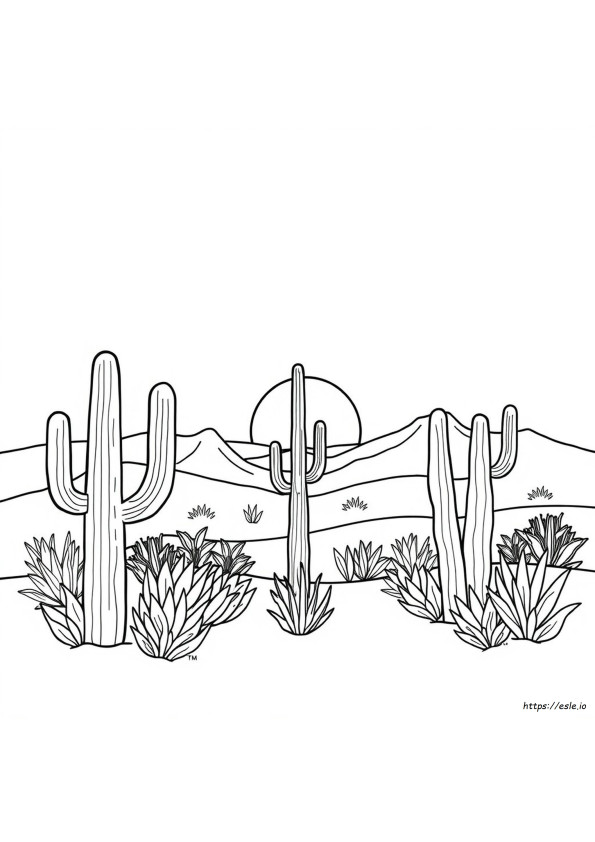 Arizona Best Color Graphics