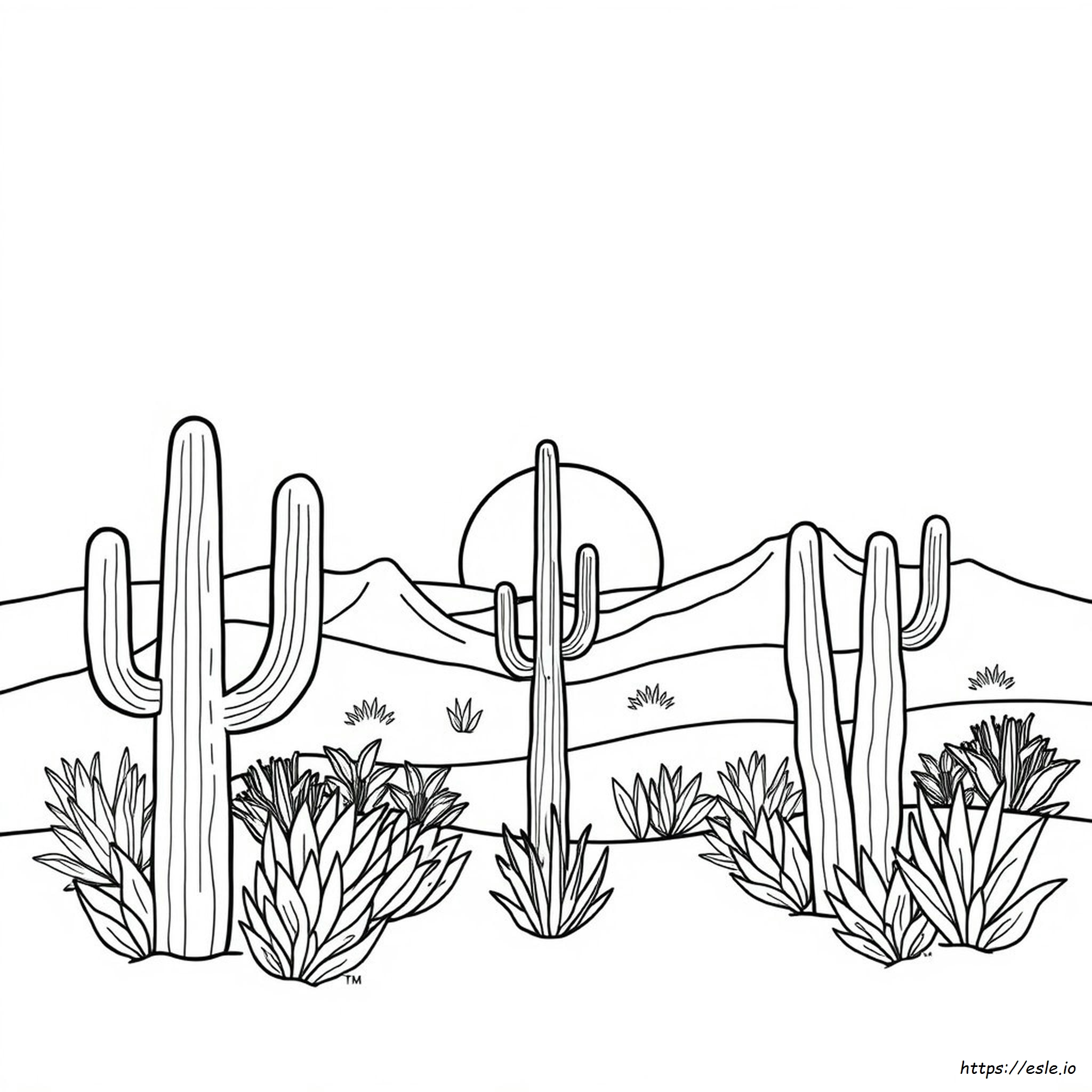 Arizona Best Color Graphics