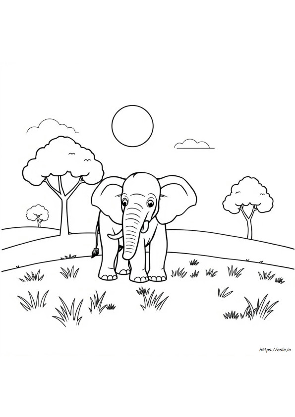 Elefante Para Colorir