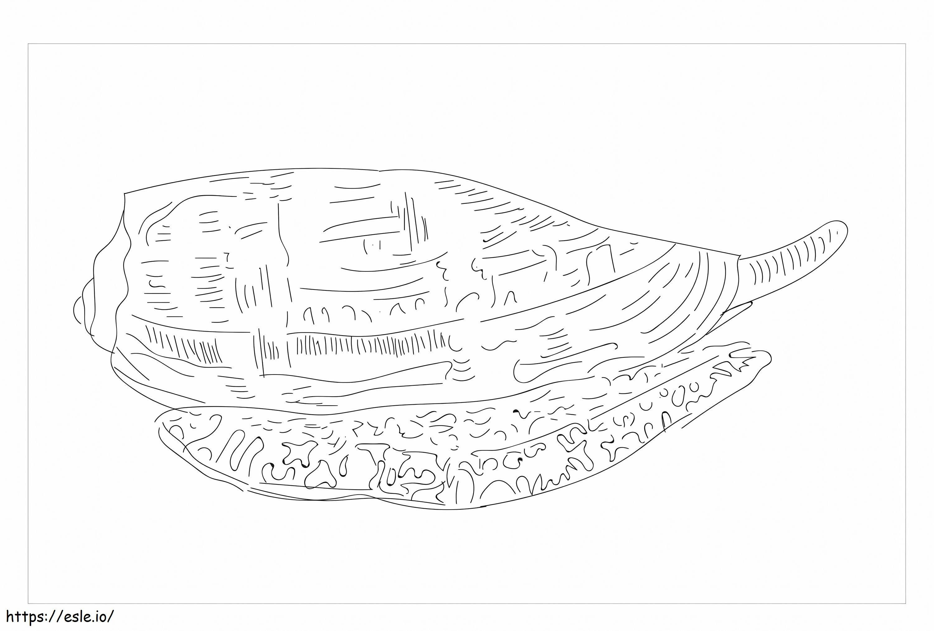 Conical Caracol coloring page