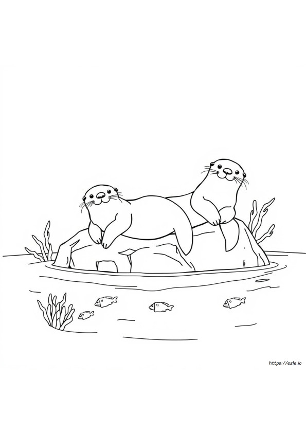 Seeotter Ausmalbilder