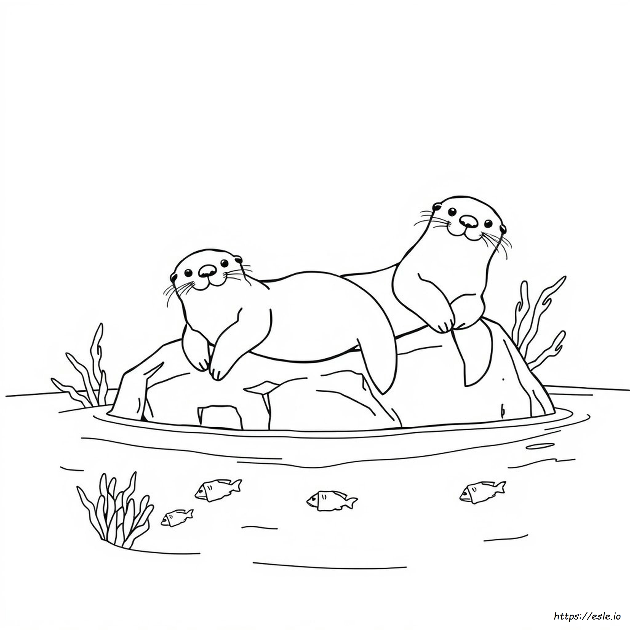Sea Otter Coloring Sheet
