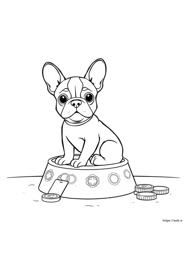 Franse Bulldog Kleurprijzen