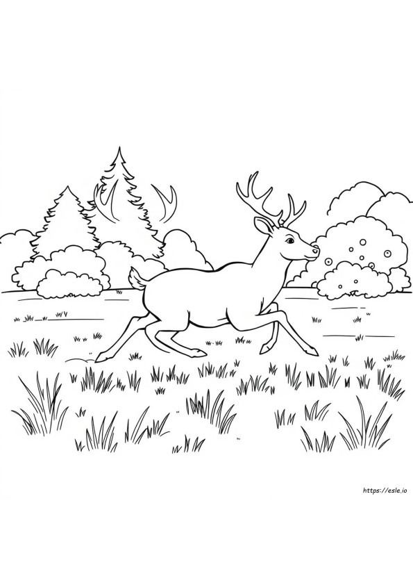 Coloriages Gratuits De Cerfs