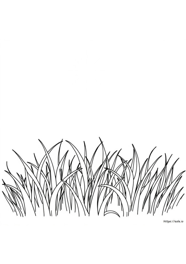 Grass Coloring Picture