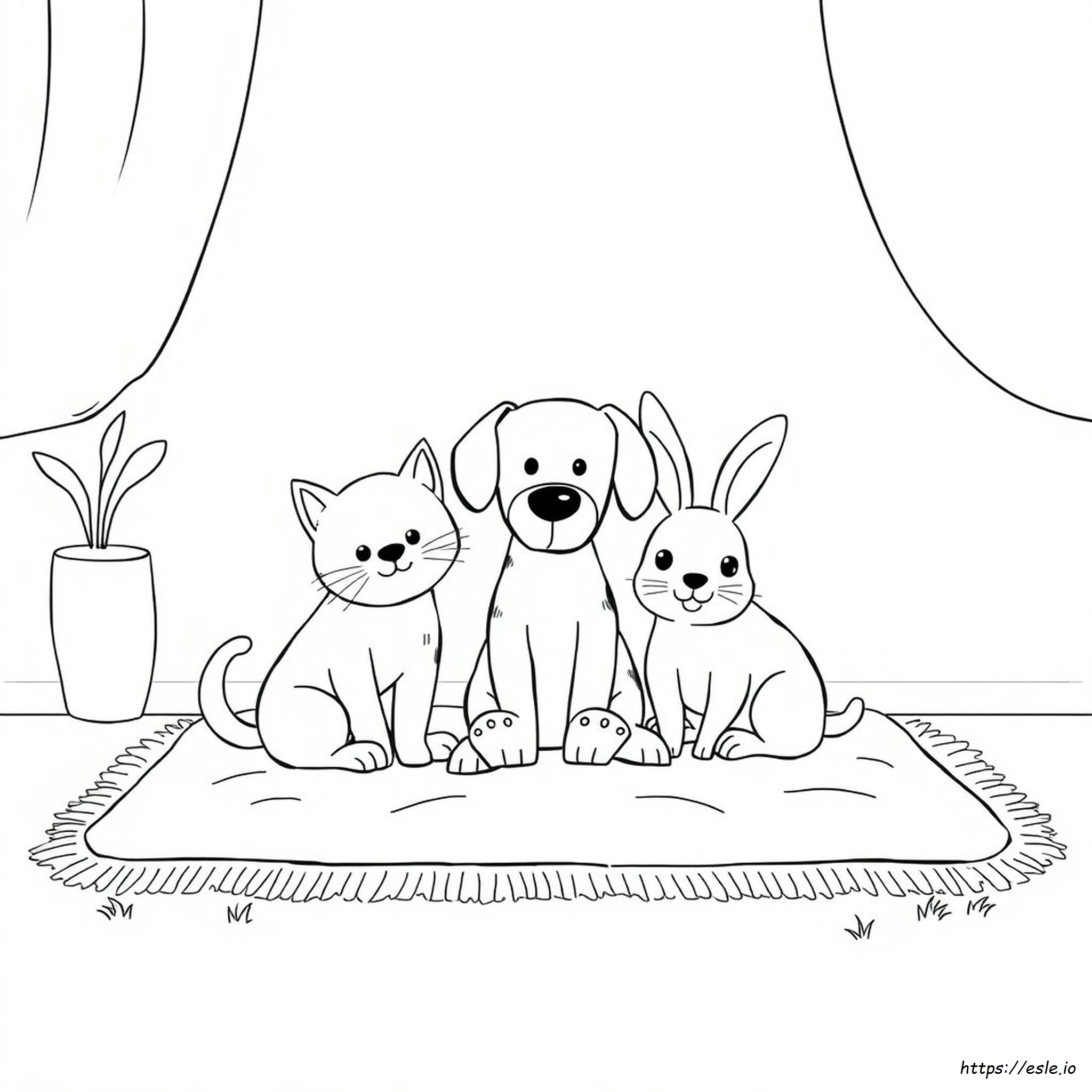 Domestic Animal Pets Coloring Pages