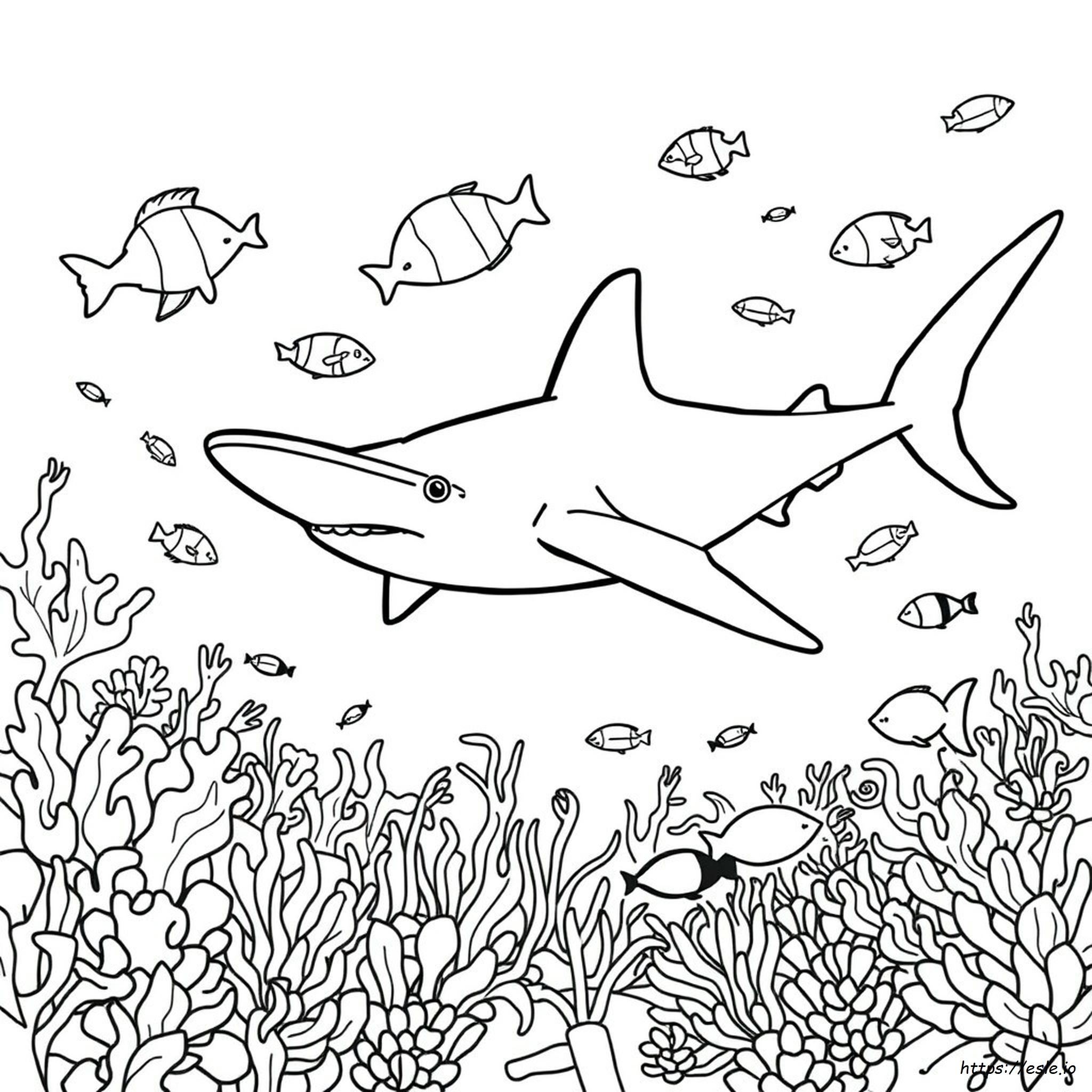 Hammerhead Shark Coloring Pages To Print