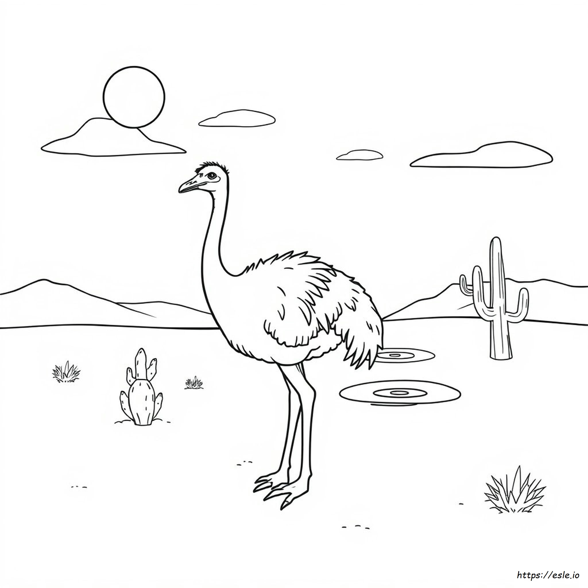 Coloring Ostrich Colour