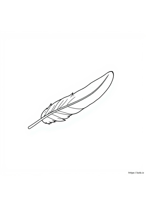 Imagini Cu Pene De Colorat