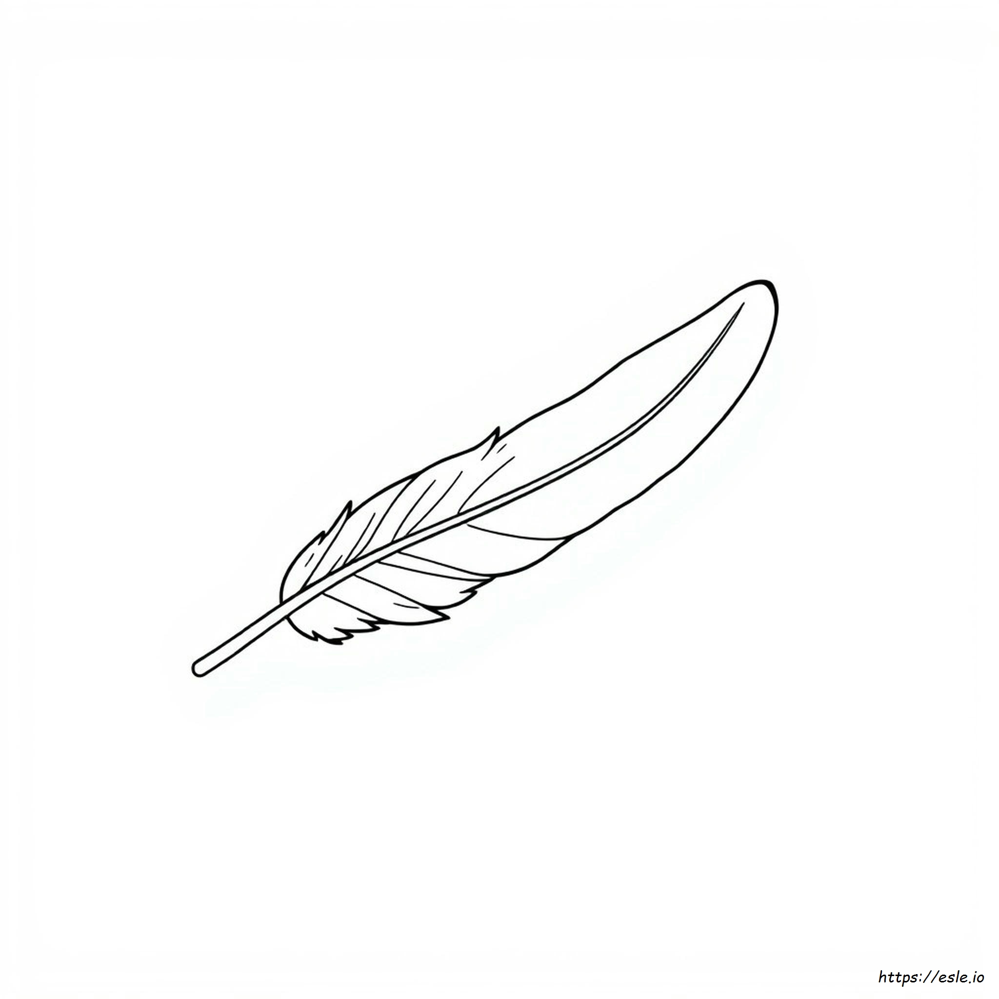 Feather Coloring Pictures