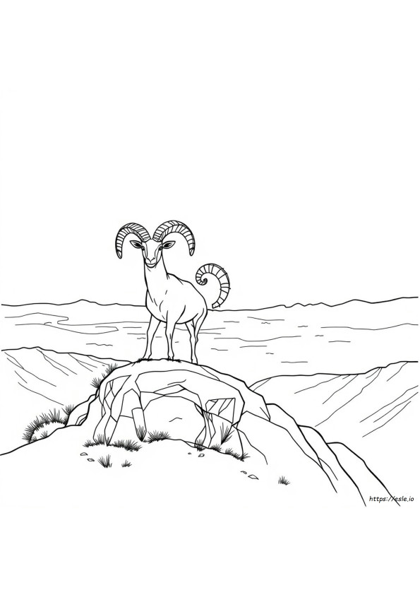 Kleurplaten Van Bighorn Schaap