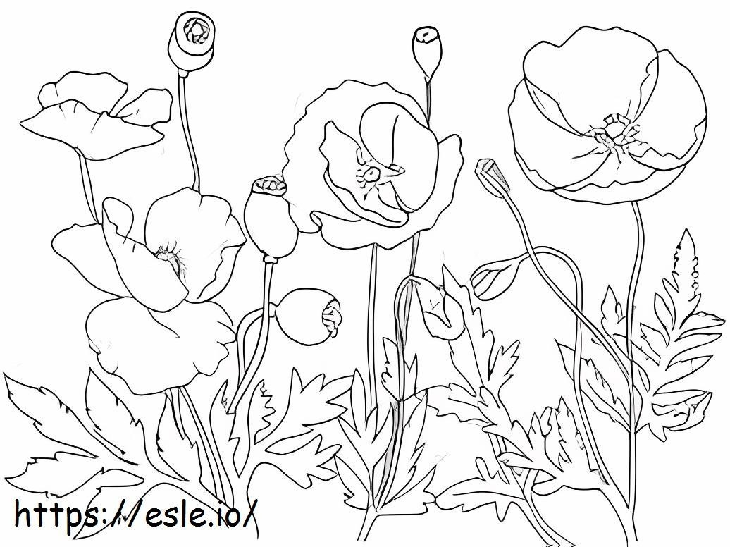 Perfect Poppy coloring page