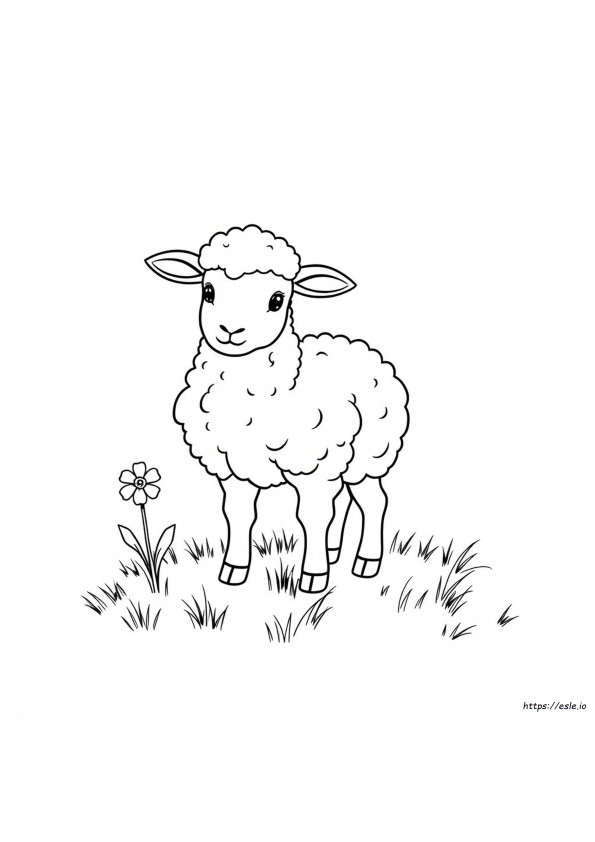 Coloriage Agneau