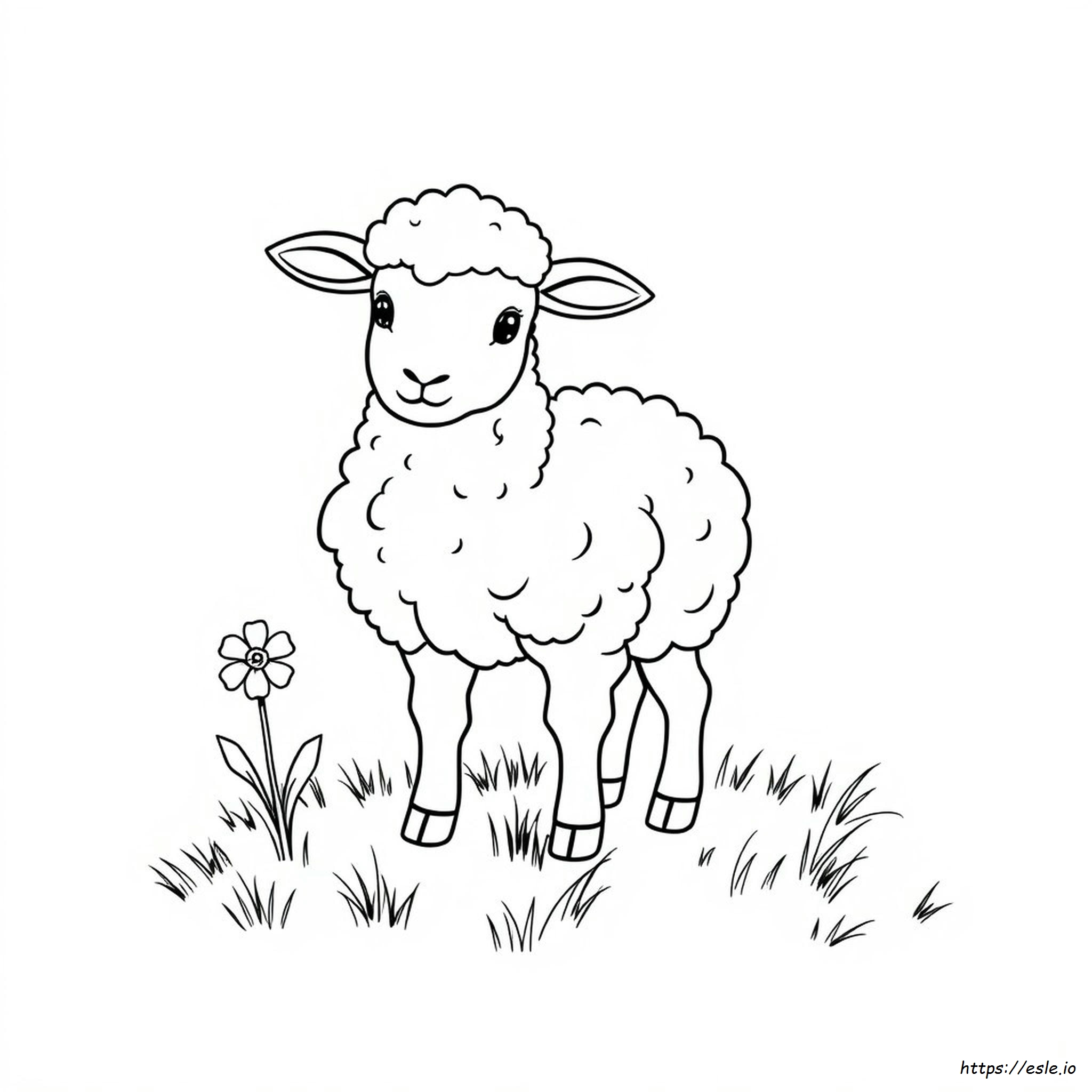 Coloring Picture Of Lamb