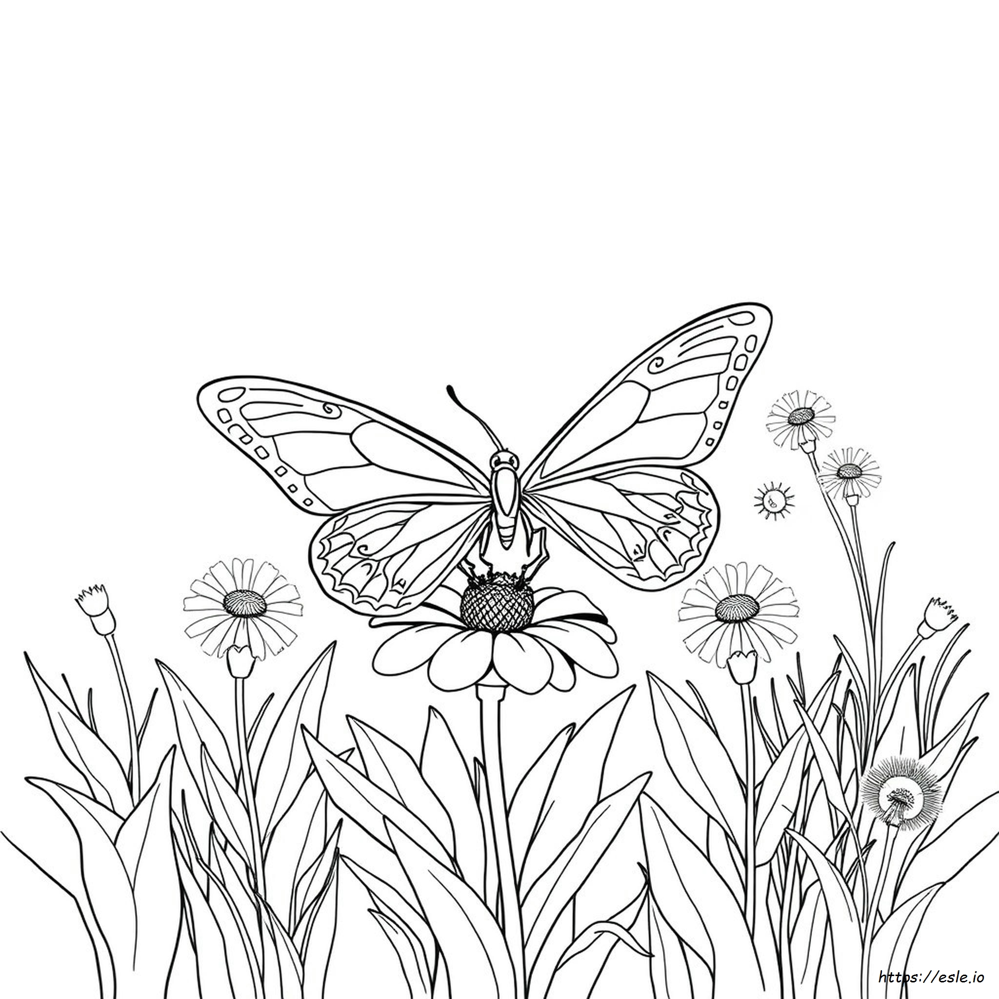 Kostenlose Ausdruckbare Schmetterling Ausmalbilder