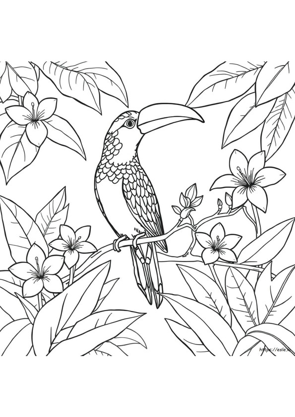 Pássaro Exótico Desenhos Para Colorir
